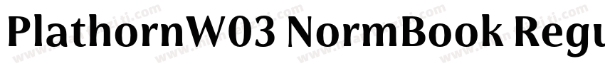 PlathornW03 NormBook Regular字体转换